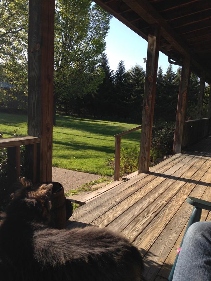 The South Glenora Tree Farm Bed & Breakfast Dundee Dış mekan fotoğraf