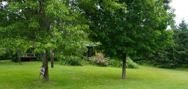 The South Glenora Tree Farm Bed & Breakfast Dundee Dış mekan fotoğraf